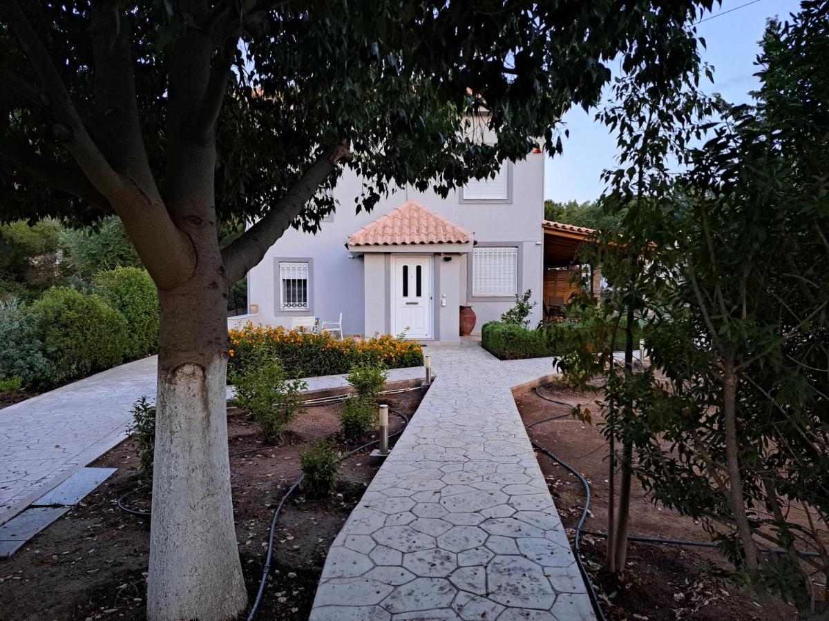 Studio Katafigi Anavyssos Exteriér fotografie