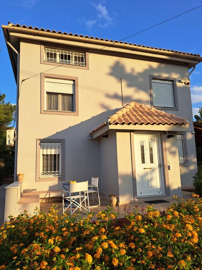 Studio Katafigi Anavyssos Exteriér fotografie